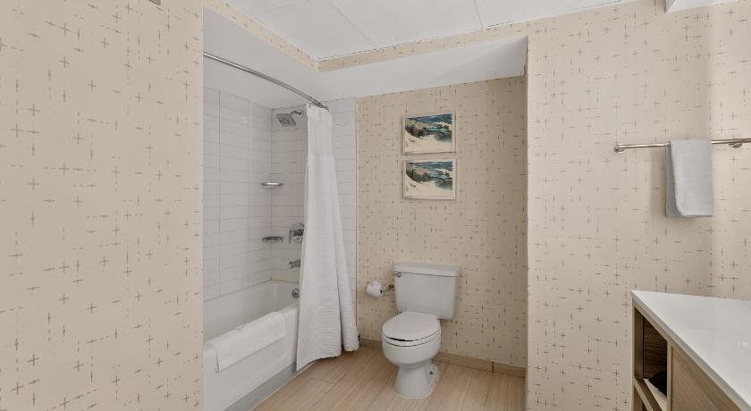 Image of 1 King Junior Suite 11