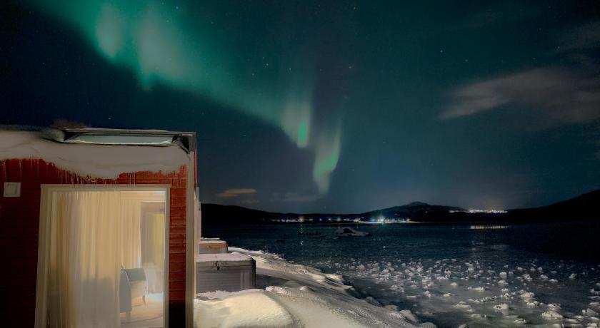 Norwegian Wild