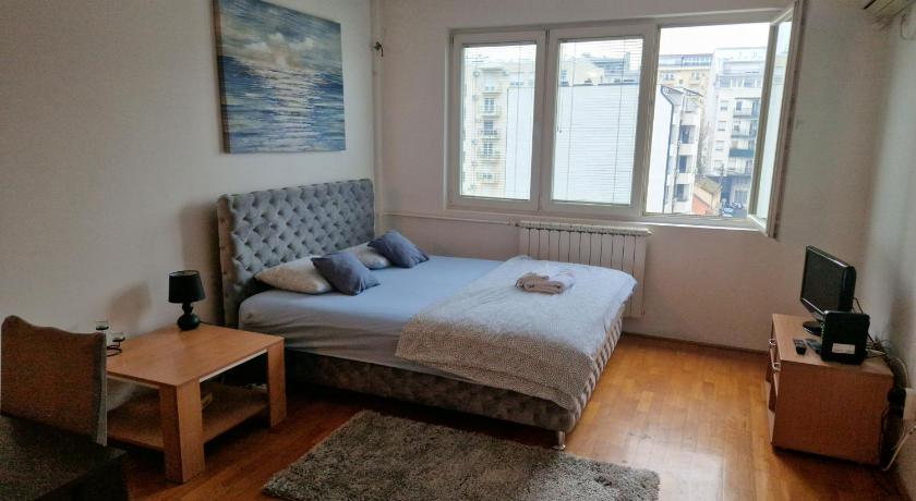 베오그라드 Anchy Apartment 3성급 싱글룸 객실