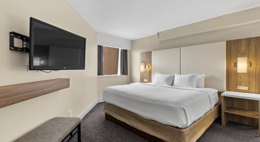 Image of 1 Bedroom Suite 1