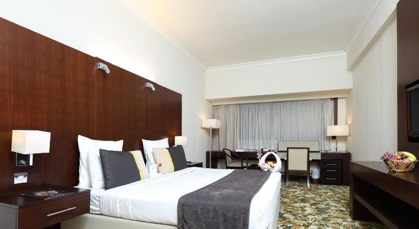 Image of Deluxe King Room 0