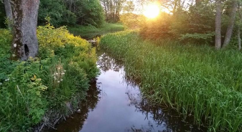 Book Nortuna B B In Tensta