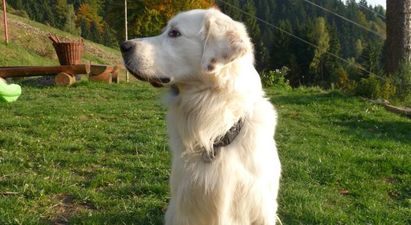 Horska chata Skacelka photo