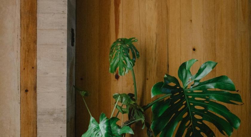 瓦哈卡 Hotel Escondido Oaxaca , Oaxaca, a Member of Design Hotels 4星级 酒店 泳池