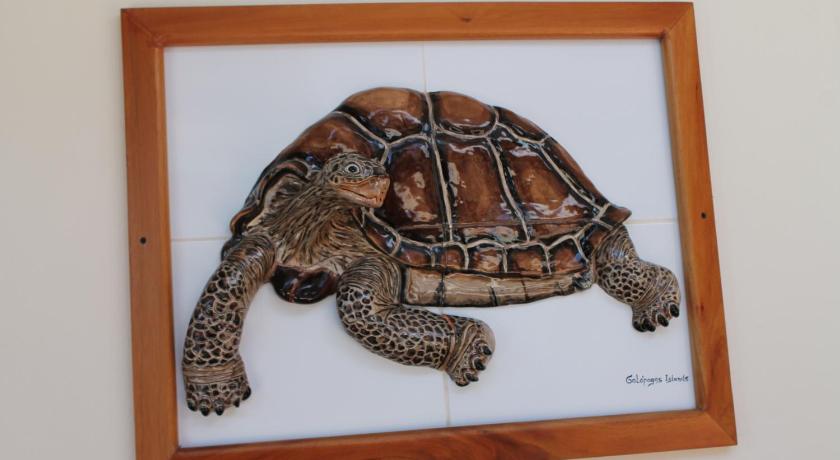 Galapagos Cottages photo