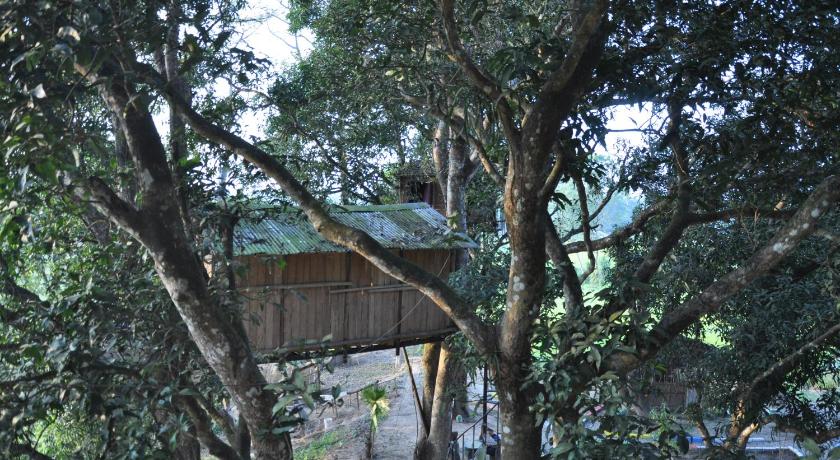 Image of Bungalow with Garden View 9