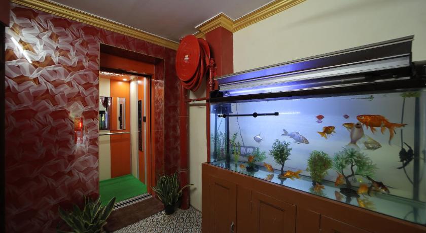 French Breeze Residency - image 15