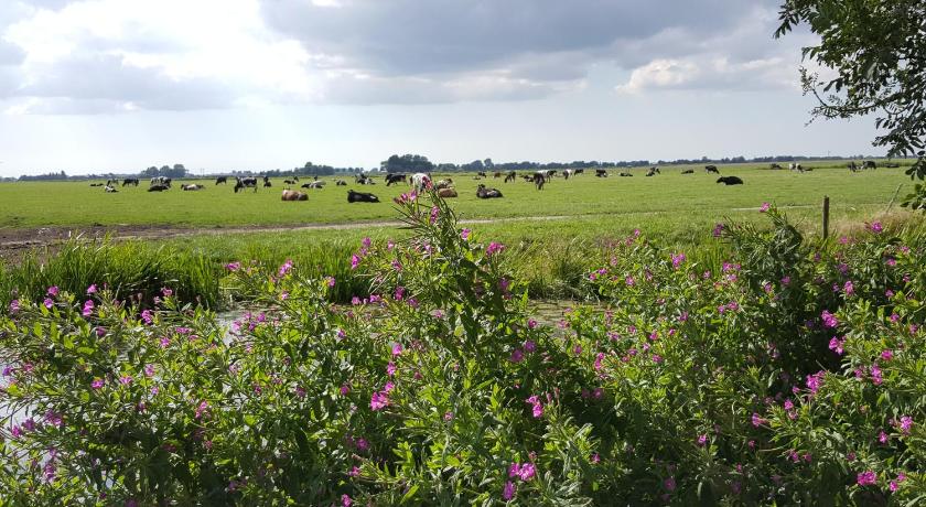 ズイデルゼー Bed & Breakfast De Koegang 4つ星 ホテル プール