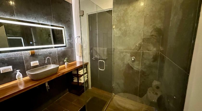 Image of Monkey Suite 4