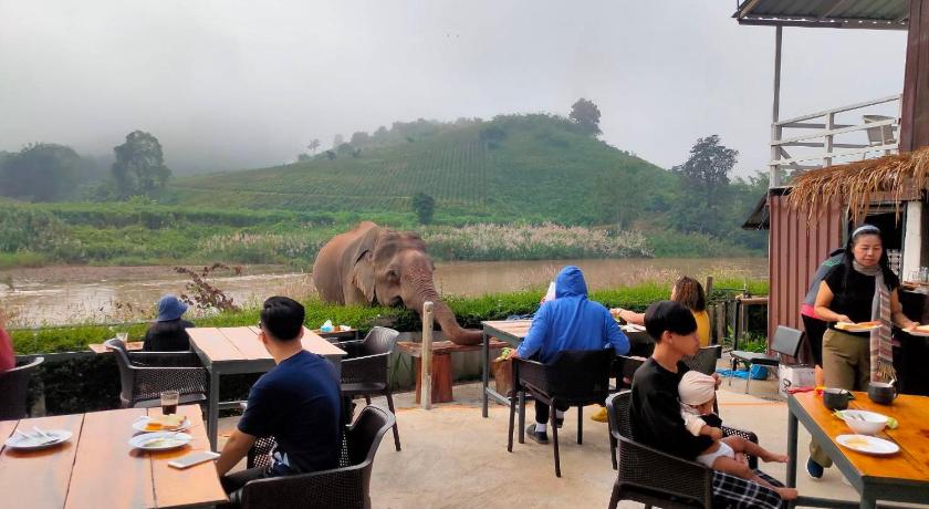 チェンライ ริมกก โฮมสเตย์ rim-kok homestay 3つ星 ゲストハウス プール