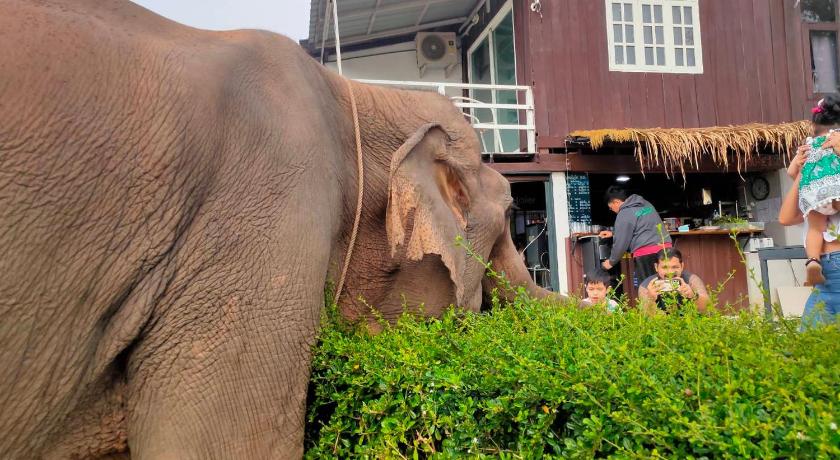 チェンライ ริมกก โฮมสเตย์ rim-kok homestay 3つ星 ゲストハウス 外観