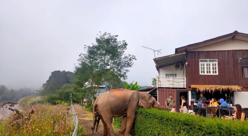 チェンライ ริมกก โฮมสเตย์ rim-kok homestay 3つ星 ゲストハウス プール