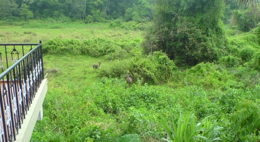 Jungle Palace Homestay photo