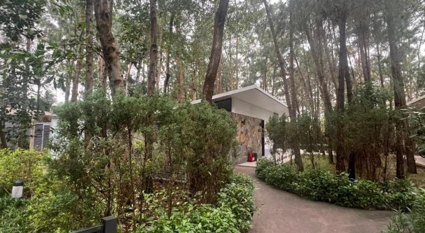 Forest Villa at Dai Lai Resort