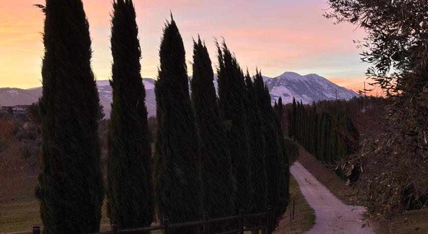 Agriturismo La Masseria - La casa tra gli alberi