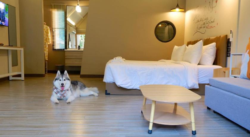 Image of Nordic Suite 11