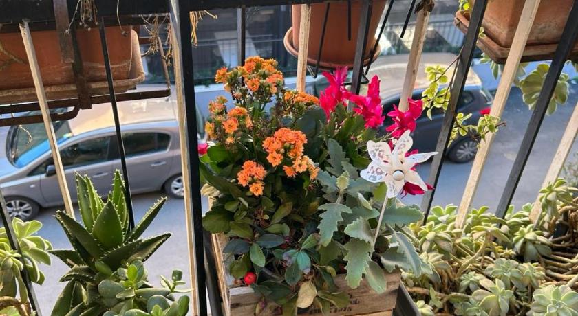 罗马 Semini di nostalgia 4星级 单人房 大堂