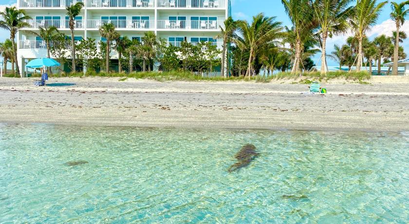 Englewood (FL) Manasota Key Resort 3-Star Accommodation amenity