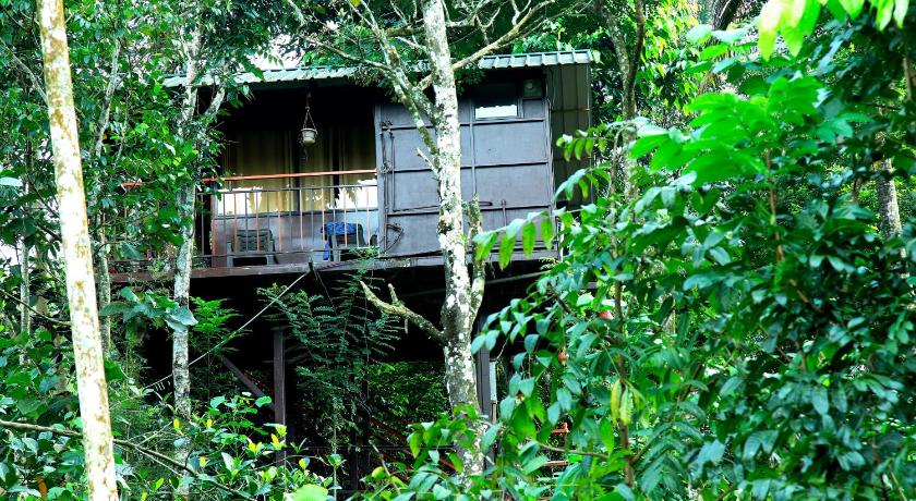 The Wayside Farm Cottage Munnar - image 31