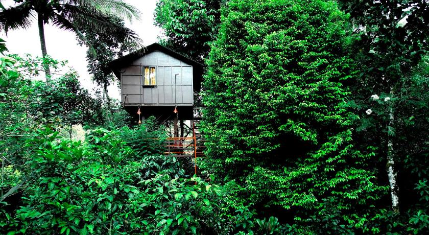 The Wayside Farm Cottage Munnar - image 16