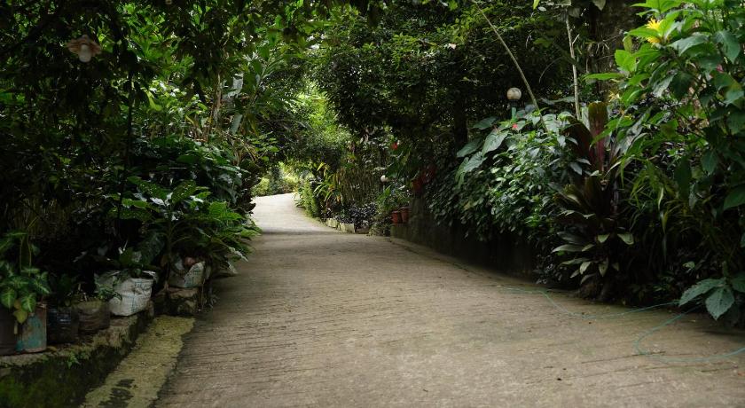The Wayside Farm Cottage Munnar - image 39