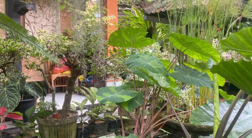 巴厘 GUS ARDITYA HOMESTAY 2星级 民宿 餐厅