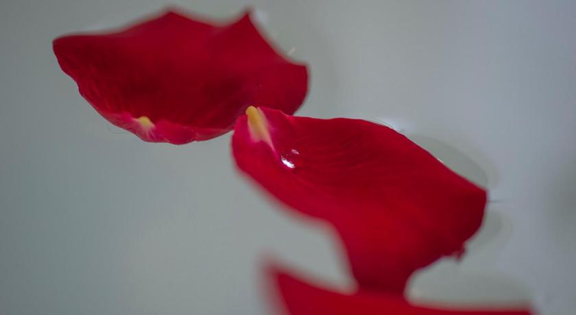 SSAW Boutique Hotel Hefei Downtown - image 27