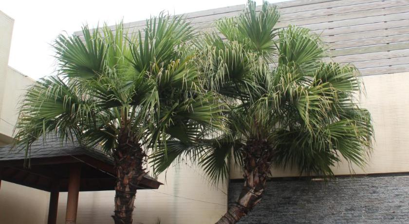 Image of Suite with Private Pool 7