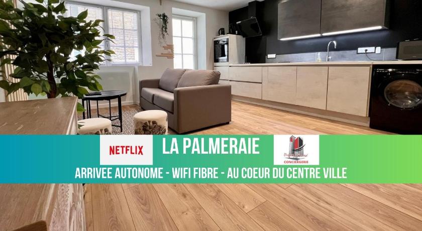 LA PALMERAIE -wifi fibre- centre ville -PROPERTY RENTAL NM