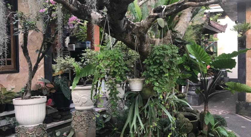 巴厘 GUS ARDITYA HOMESTAY 2星级 民宿 景观