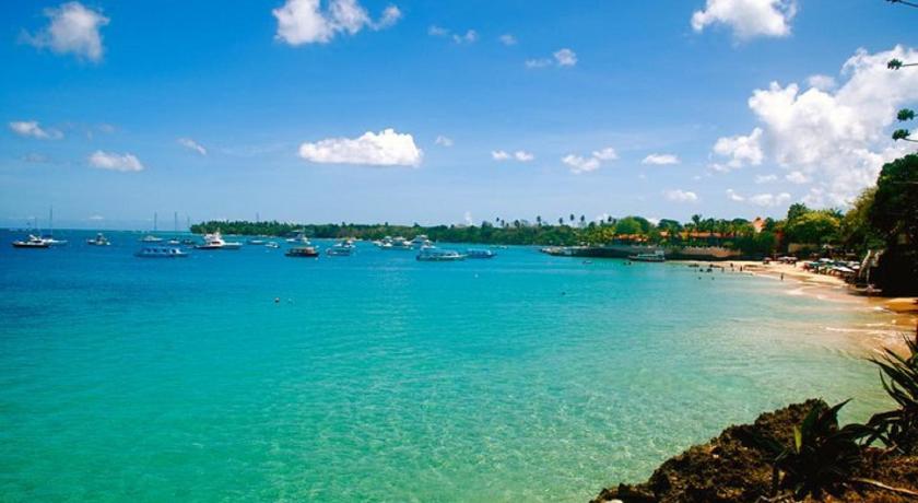 The Nest Tobago Apartments photo