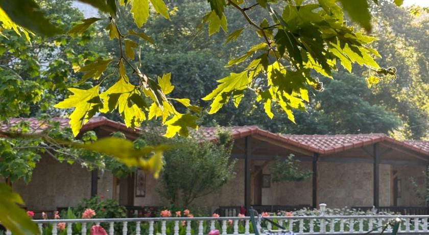 Likya Adrasan Otel - image 14