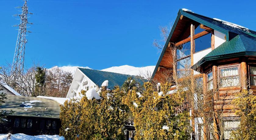 Hakuba Log Hotel Meteor - image 32