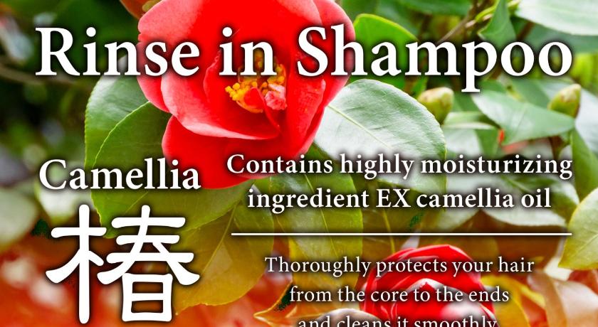 東京 SC 102 Cozy Private Stay with Loft Near Station Free WiFi 3つ星 シングルルーム ロビー