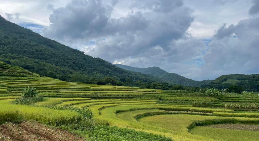 谅州 Pu Luong JUNGLE KING 1 HOMESTAY 酒店 景观