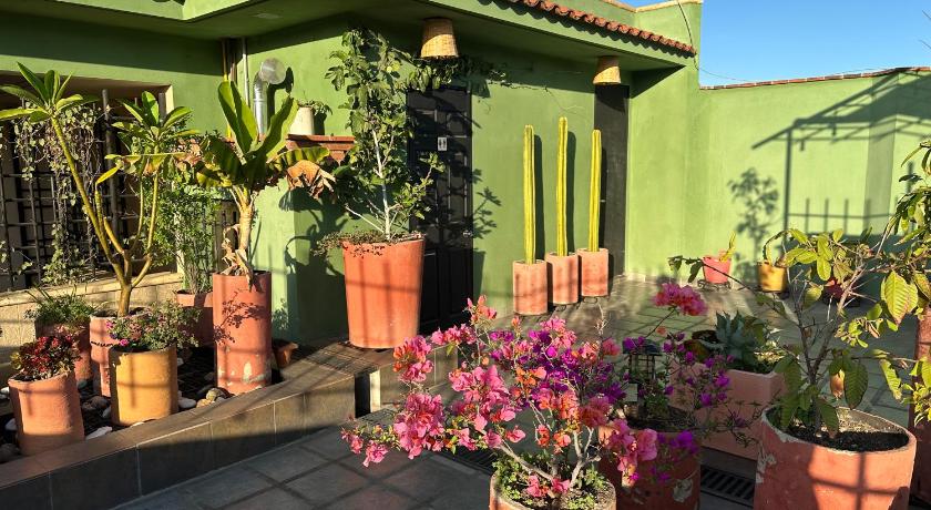 オアハカ Hostal Nordes 2つ星 ホテル ロビー