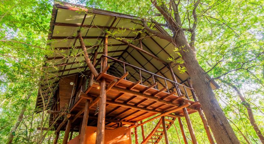 Kaala Kalaththewa Luxury Eco Resort