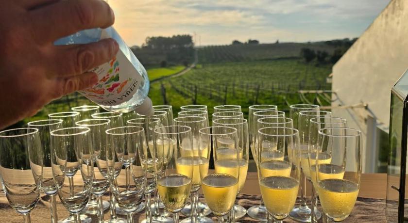 奥比多斯 Entre Vinhas & Mar 5星级 民宿 设施