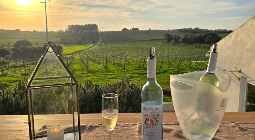 奥比多斯 Entre Vinhas & Mar 5星级 民宿 泳池