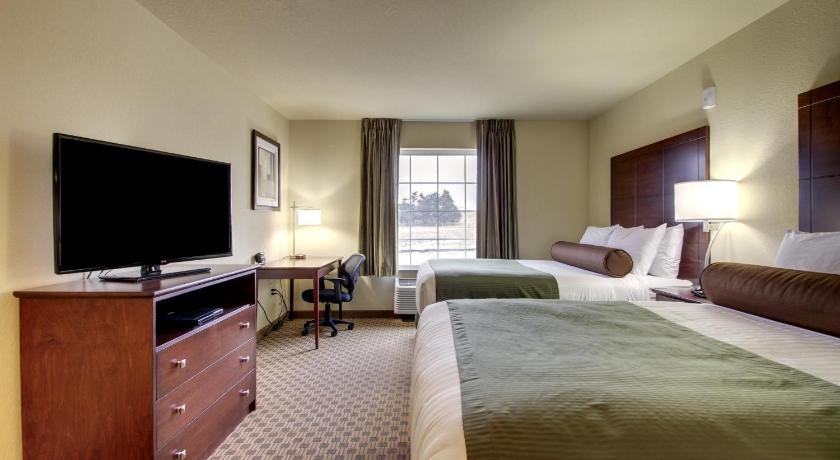 Cobblestone Hotel & Suites - Pulaski photo