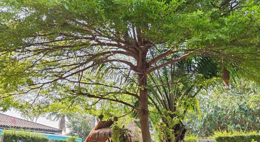 素可泰 Smilingface Guesthouse 2星级 酒店 客房