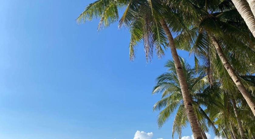 Areca Boracay Bed and Breakfast - image 22