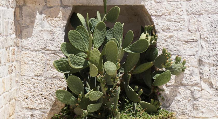 Trulli Holiday Albergo Diffuso