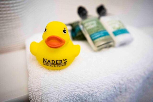 ルーディントン Nader's Motel & Suites 4つ星 宿泊施設 客室