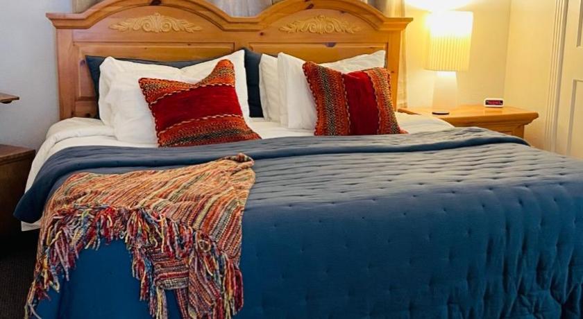 シルバートン (CO) Shotgun House 4つ星 シングルルーム プール