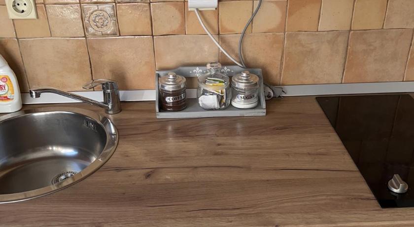 베오그라드 Garsonjera Zvezdara 4성급 싱글룸 부대시설