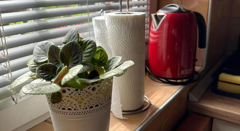 베오그라드 Garsonjera Zvezdara 4성급 싱글룸 외관