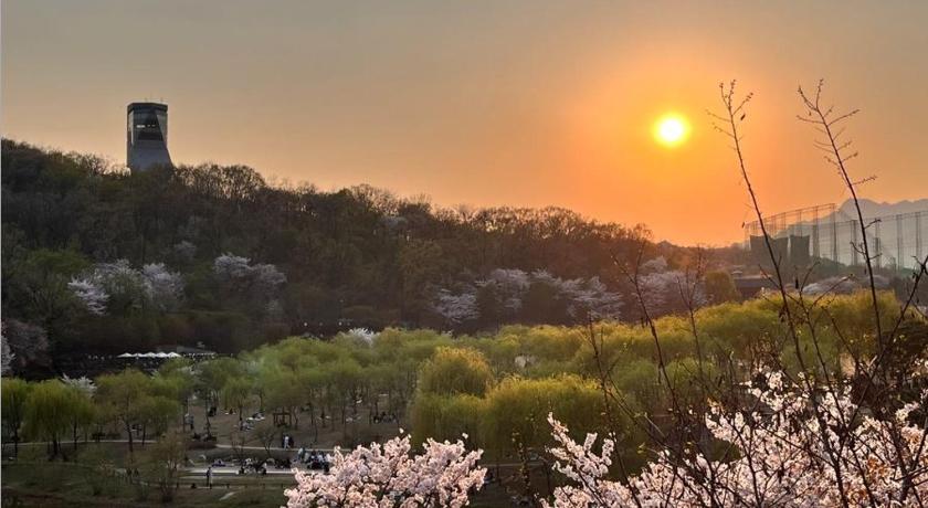 서울 노원의 프라이빗 하우스 (37m², 침실 1개, 프라이빗 욕실 1개) (Stay in North Seoul) 4성급 게스트하우스 전망