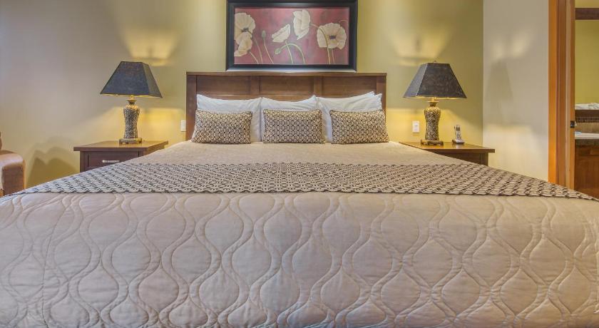 Image of Premier Three-Bedroom Apartment - Pet Friendly 9