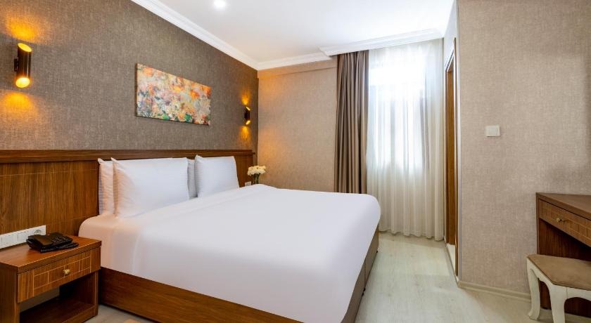 Diamond Beyazit Hotel - image 3